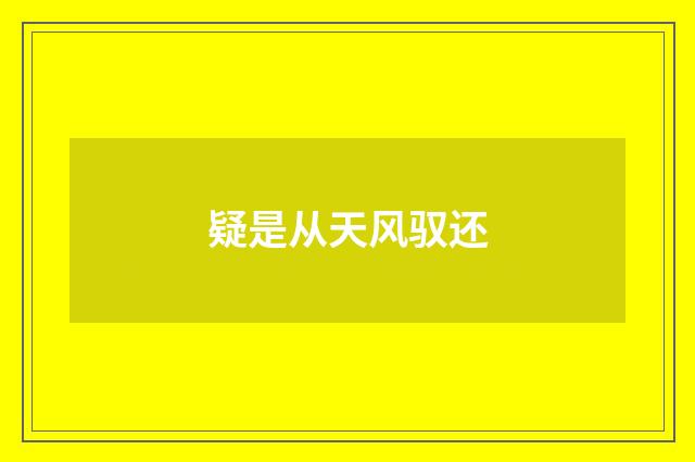 疑是从天风驭还