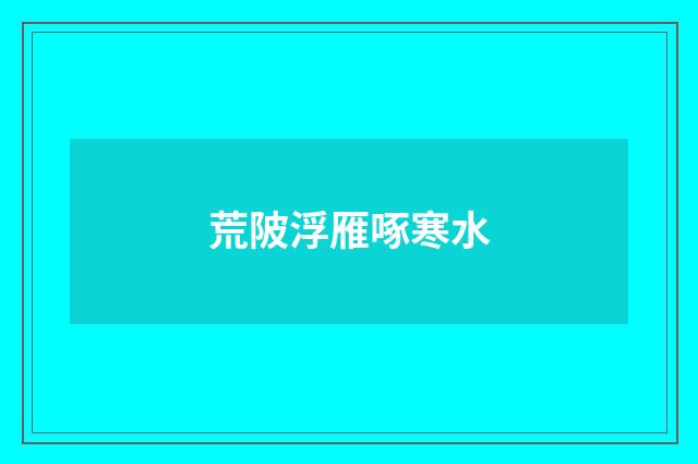 荒陂浮雁啄寒水