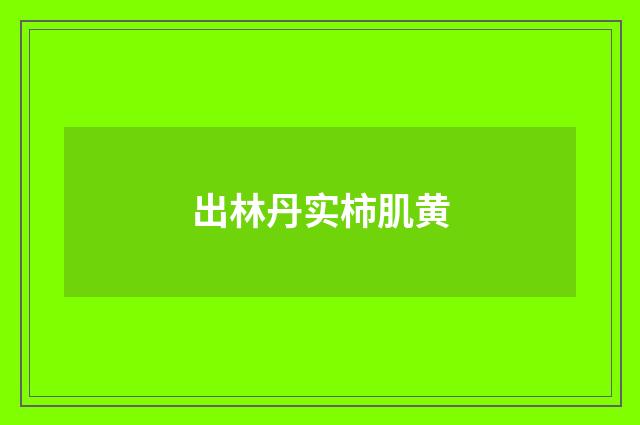 出林丹实柿肌黄