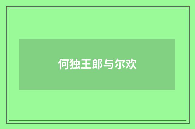 何独王郎与尔欢
