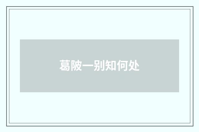 葛陂一别知何处