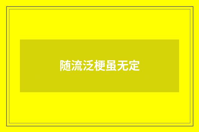 随流泛梗虽无定