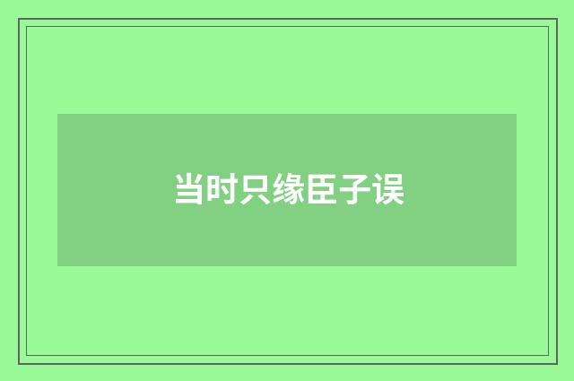 当时只缘臣子误