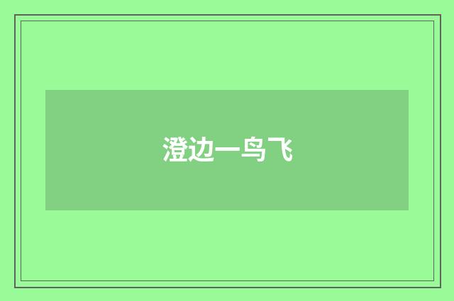 澄边一鸟飞