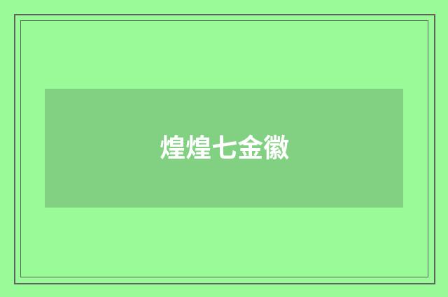 煌煌七金徽
