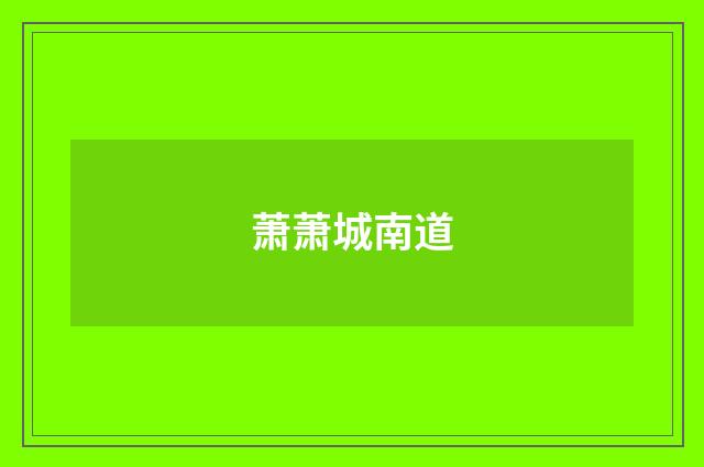 萧萧城南道