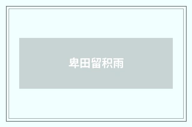卑田留积雨