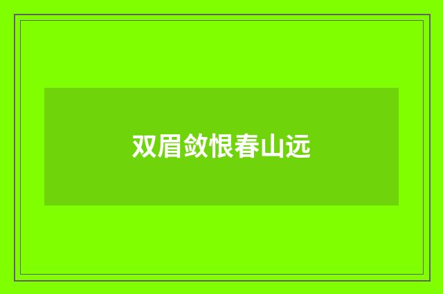 双眉敛恨春山远