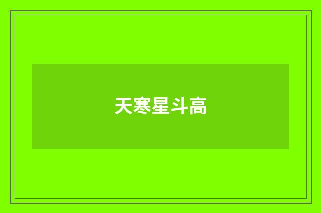 天寒星斗高