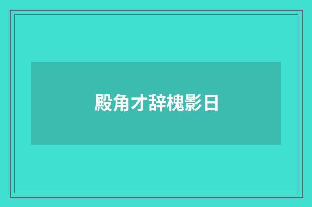 殿角才辞槐影日