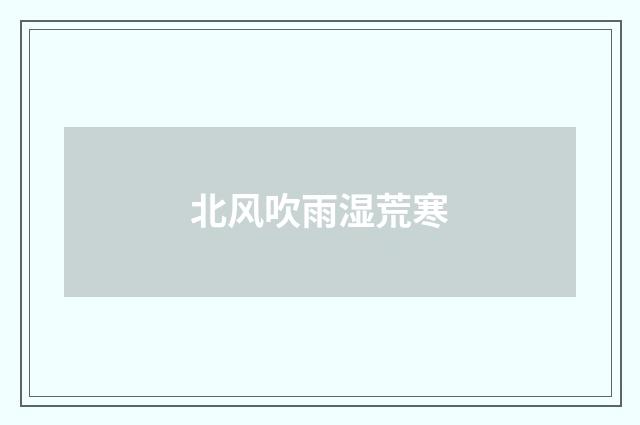 北风吹雨湿荒寒