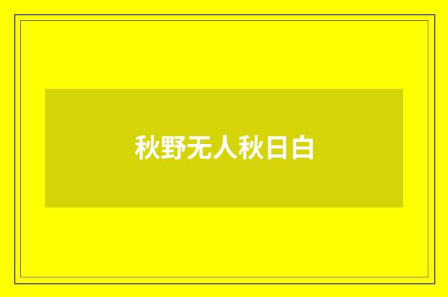 秋野无人秋日白