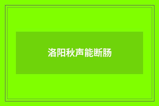 洛阳秋声能断肠