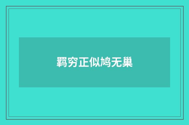 羁穷正似鸠无巢
