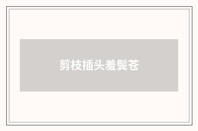 剪枝插头羞鬓苍