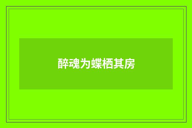 醉魂为蝶栖其房