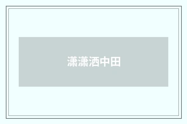 潇潇洒中田