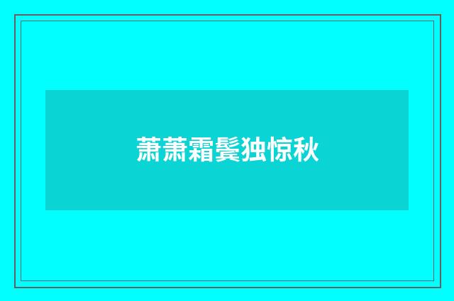 萧萧霜鬓独惊秋