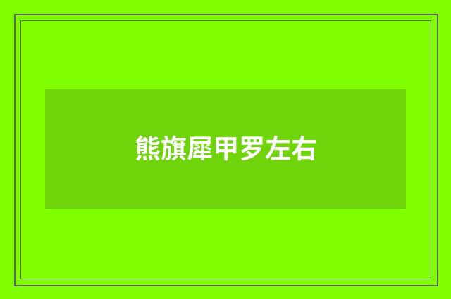 熊旗犀甲罗左右