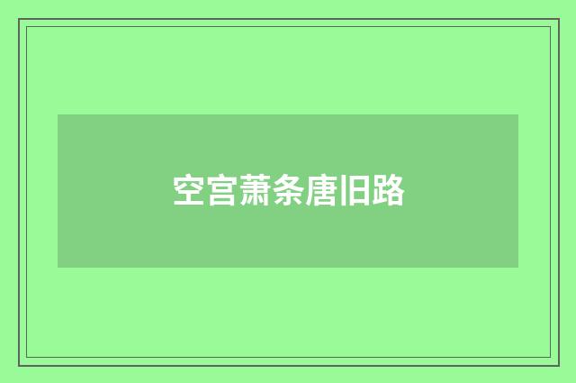 空宫萧条唐旧路