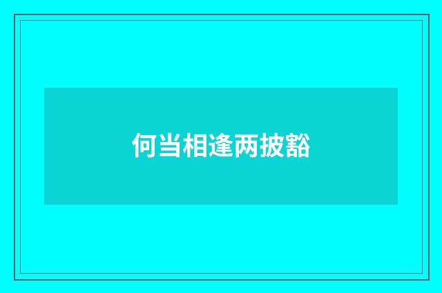 何当相逢两披豁