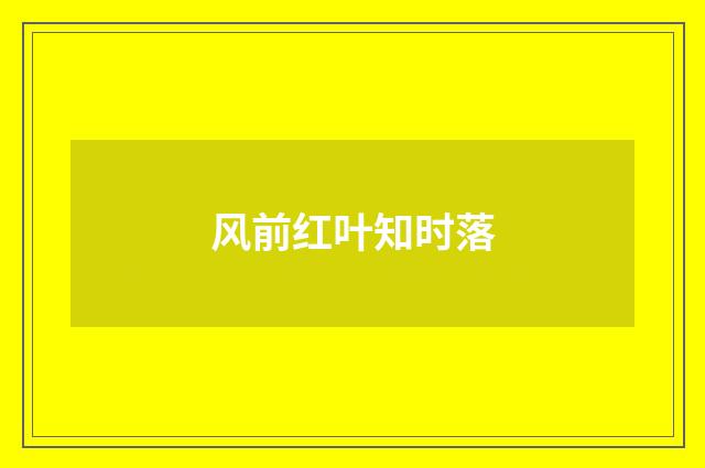 风前红叶知时落