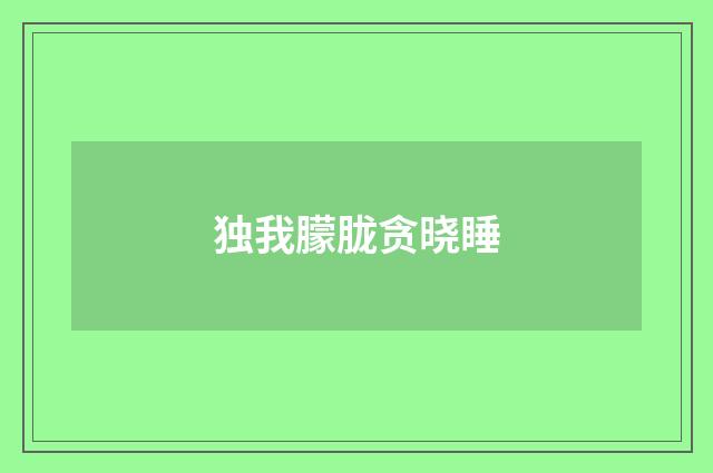 独我朦胧贪晓睡