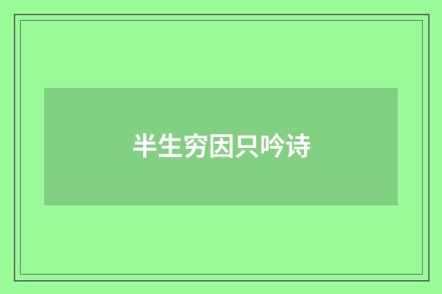 半生穷因只吟诗