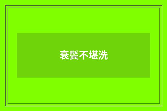 衰鬓不堪洗