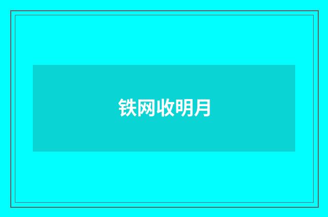 铁网收明月
