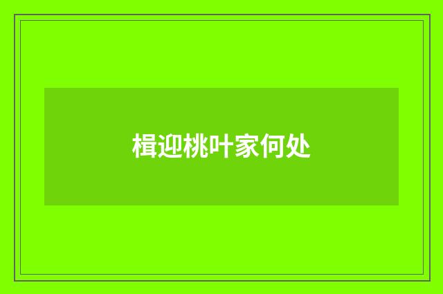 楫迎桃叶家何处