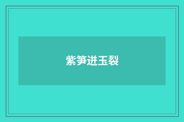 紫笋迸玉裂