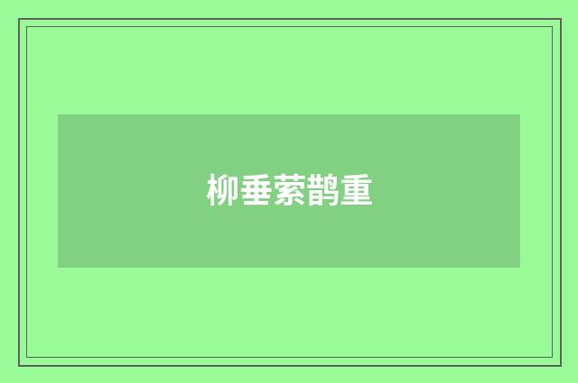 柳垂萦鹊重