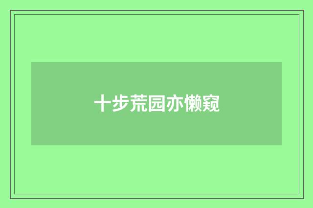 十步荒园亦懒窥