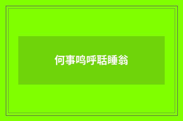 何事鸣呼聒睡翁