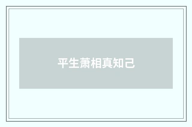 平生萧相真知己