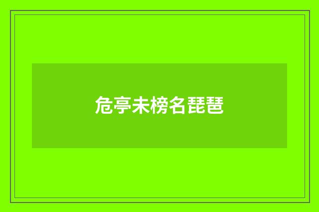 危亭未榜名琵琶