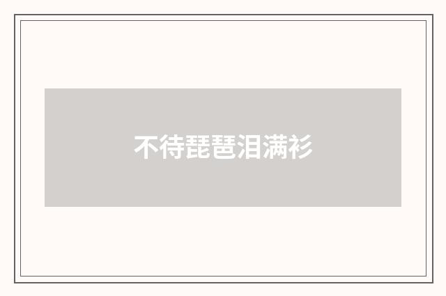 不待琵琶泪满衫