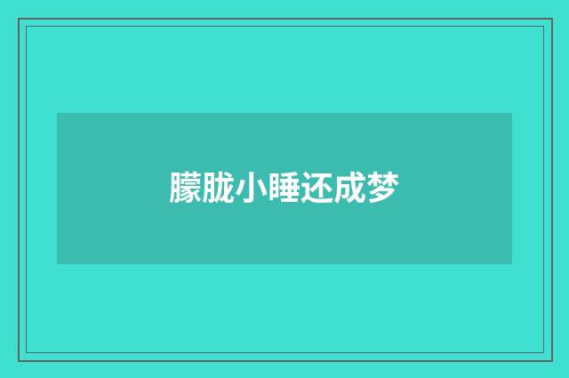 朦胧小睡还成梦