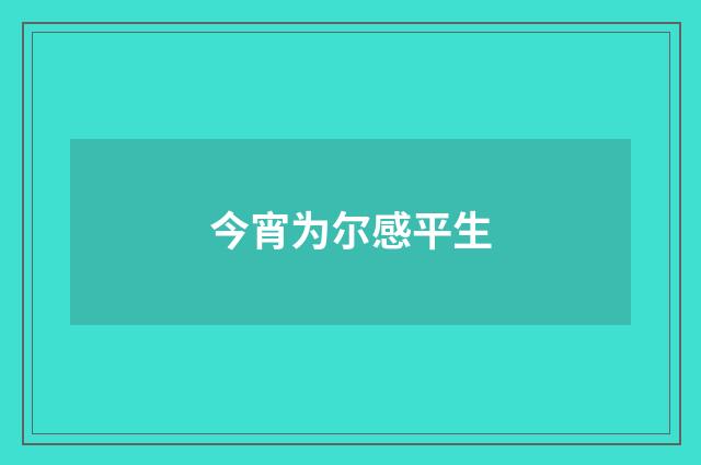 今宵为尔感平生