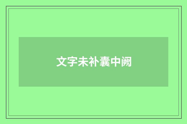 文字未补囊中阙