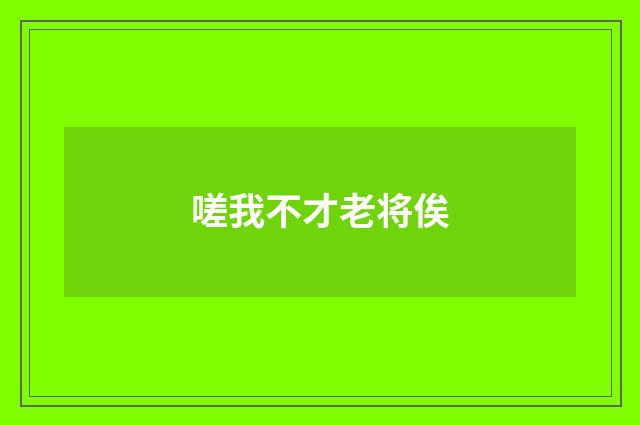 嗟我不才老将俟