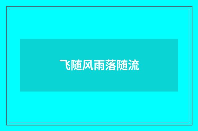 飞随风雨落随流