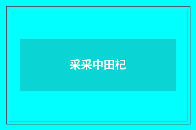 采采中田杞