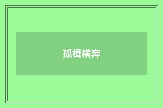 孤楫横奔
