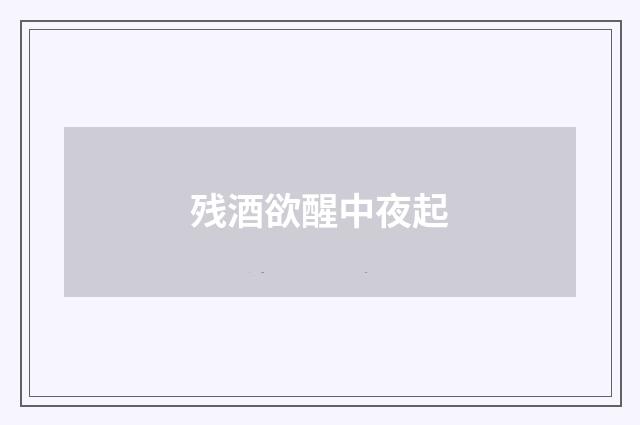 残酒欲醒中夜起