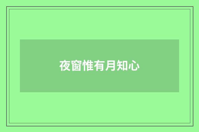 夜窗惟有月知心