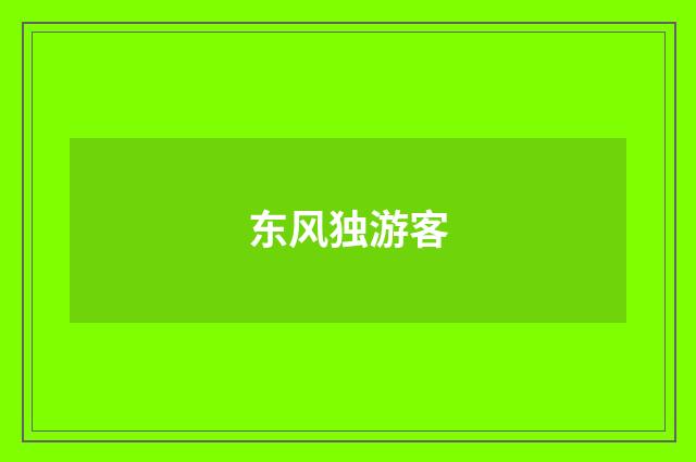 东风独游客