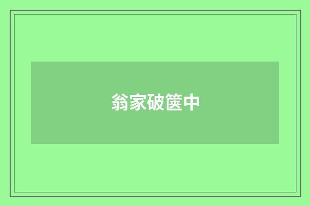 翁家破箧中