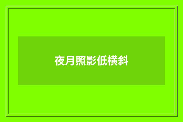 夜月照影低横斜